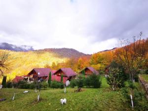 4 cabanute din lemn,Boga,Parc Natural Apuseni,Bihor - imagine 8