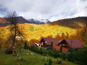 4 cabanute din lemn,Boga,Parc Natural Apuseni,Bihor - imagine 9