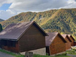 4 cabanute din lemn,Boga,Parc Natural Apuseni,Bihor - imagine 7