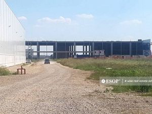 WDP Industrial Park Paulesti, hale de inchiriat, 2.500 - 14.150 mp - imagine 2