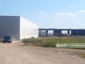 WDP Industrial Park Paulesti, hale de inchiriat, 2.500 - 14.150 mp - imagine 3