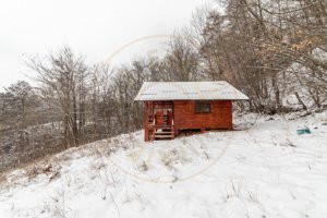 Casa primitoare de închiriat in Valea Ursului-spațiu, natura si liniște - imagine 10