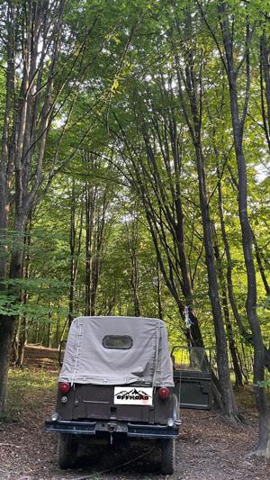 ARO IMS M461 1964 Off-road, vânătoare, plimbări  - imagine 2