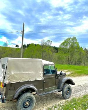 ARO IMS M461 1964 Off-road, vânătoare, plimbări  - imagine 3