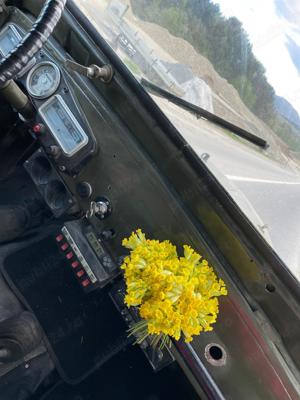 ARO IMS M461 1964 Off-road, vânătoare, plimbări  - imagine 5