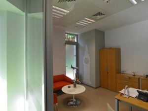 Armand Business Center, Rosetti, 310 mp  0% comision! - imagine 5