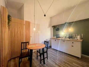 Apartament in Piata Unirii Timisoara - imagine 11