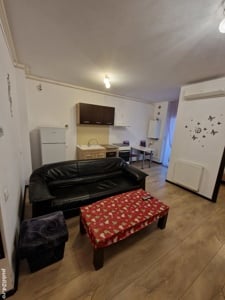 Apartament 1 camera de Închiriat Ared Malul Mureșului Micălaca - imagine 3