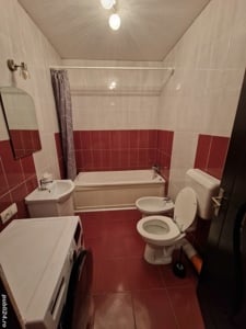 Apartament 1 camera de Închiriat Ared Malul Mureșului Micălaca - imagine 5