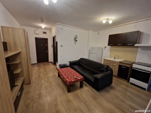 Apartament 1 camera de Închiriat Ared Malul Mureșului Micălaca - imagine 8