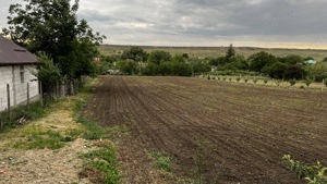 Teren intravilan în Suditi Posta Calnau