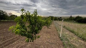 Teren intravilan în Suditi Posta Calnau - imagine 6