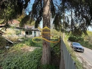 Casa batraneasca, 1000 mp Intravilan de vanzare Bacau - imagine 5