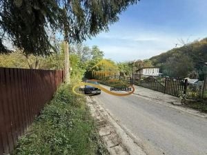 Casa batraneasca, 1000 mp Intravilan de vanzare Bacau - imagine 4