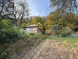 Casa batraneasca, 1000 mp Intravilan de vanzare Bacau - imagine 7