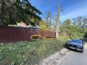 Casa batraneasca, 1000 mp Intravilan de vanzare Bacau - imagine 6