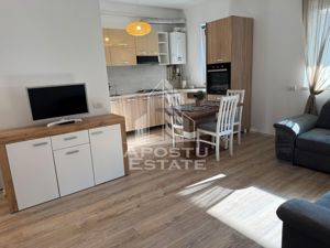 Apartament open space,3 camere si curte proprie,Dumbravita - imagine 3