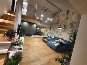 Zugravul casei tale  O737568661 - imagine 3