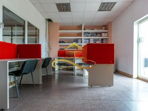 Cladire de inchiriat Bacau, spatii comerciale si birouri - imagine 9