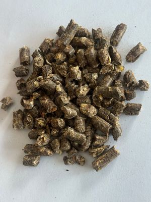 MIX granulat din tarate de GRAU, RAPITA, PORUMB