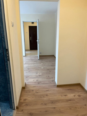 Apartament cu 2 camere, parter/10, balcon / Baba Novac - imagine 9