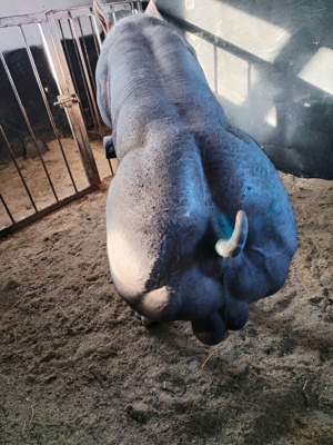 Material seminal vieri! - imagine 3