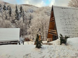 Se închiriază cabana in Maramureș Blidari  - imagine 2