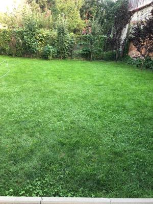 Casa saseasca de vanzare in Judetul Brasov ,Comuna Vulcan  - imagine 8