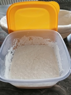 Vând maia naturala pentru pâine, cozonac și aluaturi dospite - imagine 2