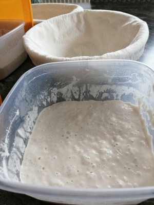 Vând maia naturala pentru pâine, cozonac și aluaturi dospite - imagine 3