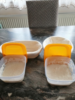 Vând maia naturala pentru pâine, cozonac și aluaturi dospite - imagine 5