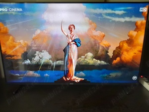 Tv led non smart Philips diagonală 108 cm