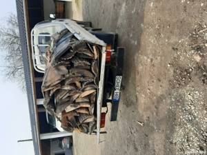 Lemn cer uscat - imagine 4