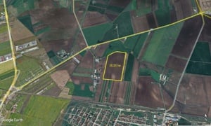 25,20 ha teren intravilan la iesire din Arad spre Horia