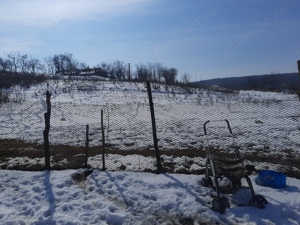 Casa de vânzare în satul ABRUD comuna ADAMCLISI  - imagine 9