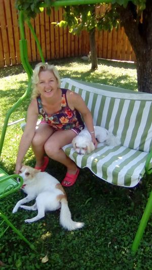 Oferim cazare temporară pentru câini ( alternativă pensiune sau hotel, fără țarcuri sau cuşti ) !    - imagine 2