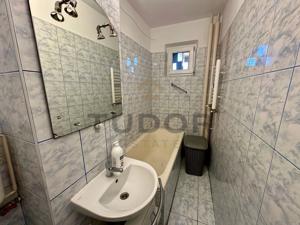 Apartament 2 camere, pet-friendly, Girocului - imagine 8