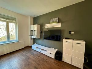 Apartament 2 camere, pet-friendly, la casa - imagine 7