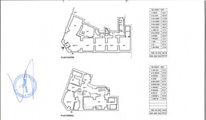 Spatiu Comercial | Parter + Subsol | Cismigiu - imagine 2