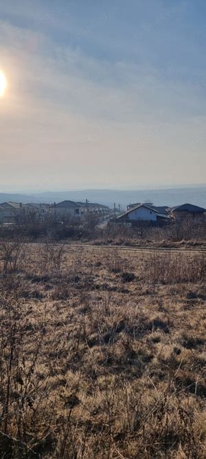 1600 mp teren , Bucium, Boiangiu, langa padurea de pini - imagine 4