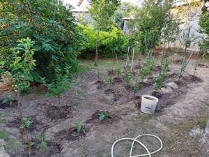 Vând casă cu 2 camere, 300 mp curte - imagine 9