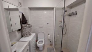 APARTAMENT parter - Baneasa Sisesti  - imagine 10