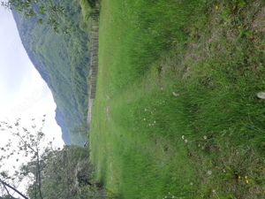 Teren de vânzare in Malaia(Vâlcea) - imagine 2