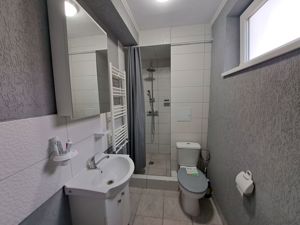 Apartament cu 3 camere in vila - Hala Traian - imagine 7