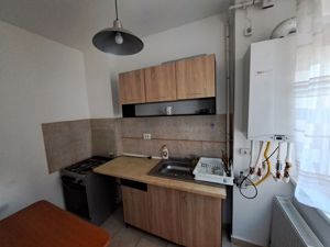 Apartament cu 3 camere in vila - Hala Traian - imagine 6