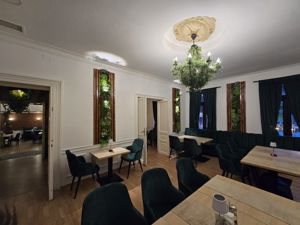 Afacere la cheie - Restaurant de vanzare locatie centrala Armeneasca - imagine 10