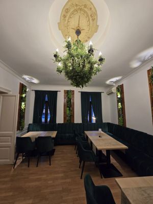 Afacere la cheie - Restaurant de vanzare locatie centrala Armeneasca - imagine 11