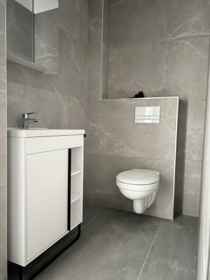 Apartament 2 camere, 37mp Utili, Gradina 19mp, Parter - Torontalului - imagine 7