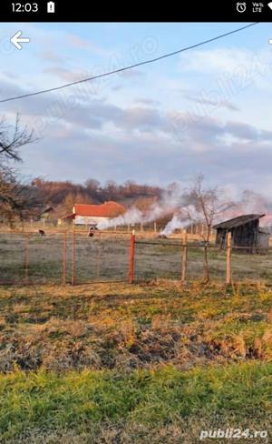 vand Teren in Bodo 1439mp pe drumul Principal 