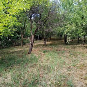 De vanzare - imagine 3